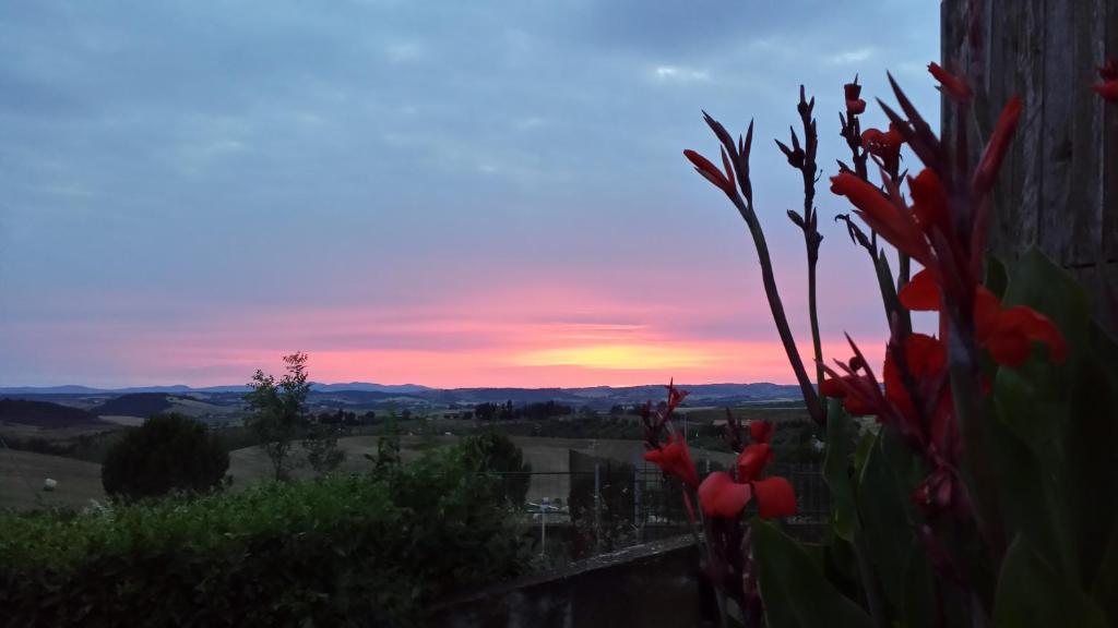 Agriturismo Marruchetone Vecchio มันชาโน ภายนอก รูปภาพ